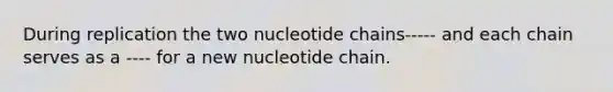 During replication the two nucleotide chains----- and each chain serves as a ---- for a new nucleotide chain.