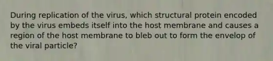 During replication of the virus, which structural protein encoded by the virus embeds itself into the host membrane and causes a region of the host membrane to bleb out to form the envelop of the viral particle?