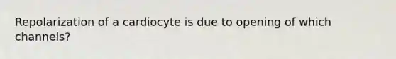 Repolarization of a cardiocyte is due to opening of which channels?