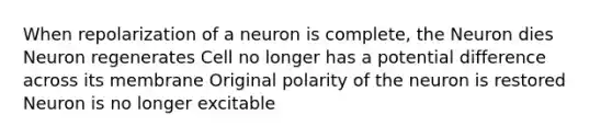 When repolarization of a neuron is complete, the Neuron dies Neuron regenerates Cell no longer has a potential difference across its membrane Original polarity of the neuron is restored Neuron is no longer excitable