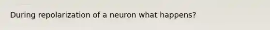 During repolarization of a neuron what happens?