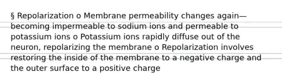 § Repolarization o Membrane permeability changes again—becoming impermeable to sodium ions and permeable to potassium ions o Potassium ions rapidly diffuse out of the neuron, repolarizing the membrane o Repolarization involves restoring the inside of the membrane to a negative charge and the outer surface to a positive charge