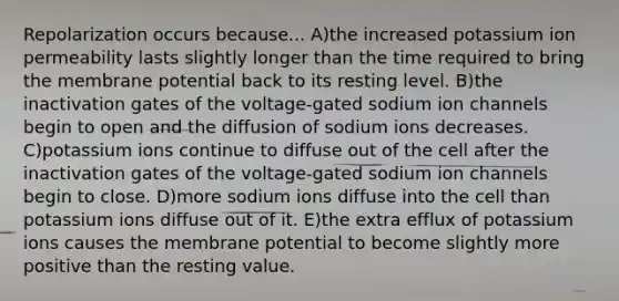 Repolarization occurs because... A)the increased potassium ion permeability lasts slightly longer than the time required to bring the membrane potential back to its resting level. B)the inactivation gates of the voltage-gated sodium ion channels begin to open and the diffusion of sodium ions decreases. C)potassium ions continue to diffuse out of the cell after the inactivation gates of the voltage-gated sodium ion channels begin to close. D)more sodium ions diffuse into the cell than potassium ions diffuse out of it. E)the extra efflux of potassium ions causes the membrane potential to become slightly more positive than the resting value.