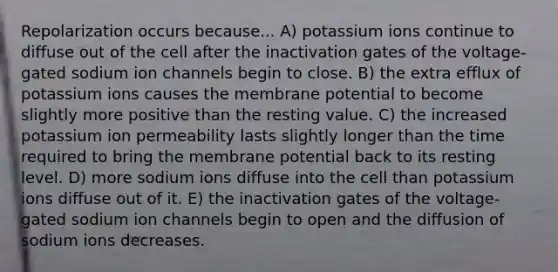 Repolarization occurs because... A) potassium ions continue to diffuse out of the cell after the inactivation gates of the voltage-gated sodium ion channels begin to close. B) the extra efflux of potassium ions causes the membrane potential to become slightly more positive than the resting value. C) the increased potassium ion permeability lasts slightly longer than the time required to bring the membrane potential back to its resting level. D) more sodium ions diffuse into the cell than potassium ions diffuse out of it. E) the inactivation gates of the voltage-gated sodium ion channels begin to open and the diffusion of sodium ions decreases.