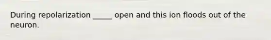 During repolarization _____ open and this ion floods out of the neuron.