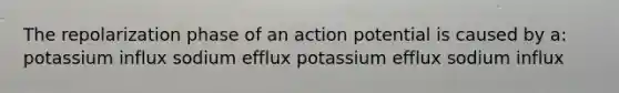 The repolarization phase of an action potential is caused by a: potassium influx sodium efflux potassium efflux sodium influx