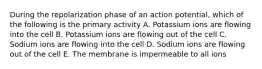 During the repolarization phase of an action potential, which of the following is the primary activity A. Potassium ions are flowing into the cell B. Potassium ions are flowing out of the cell C. Sodium ions are flowing into the cell D. Sodium ions are flowing out of the cell E. The membrane is impermeable to all ions