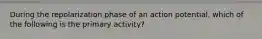 During the repolarization phase of an action potential, which of the following is the primary activity?