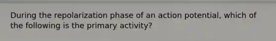 During the repolarization phase of an action potential, which of the following is the primary activity?