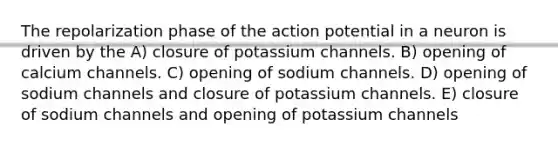 The repolarization phase of the action potential in a neuron is driven by the A) closure of potassium channels. B) opening of calcium channels. C) opening of sodium channels. D) opening of sodium channels and closure of potassium channels. E) closure of sodium channels and opening of potassium channels