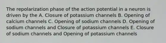 The repolarization phase of the action potential in a neuron is driven by the A. Closure of potassium channels B. Opening of calcium channels C. Opening of sodium channels D. Opening of sodium channels and Closure of potassium channels E. Closure of sodium channels and Opening of potassium channels