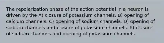 The repolarization phase of the action potential in a neuron is driven by the A) closure of potassium channels. B) opening of calcium channels. C) opening of sodium channels. D) opening of sodium channels and closure of potassium channels. E) closure of sodium channels and opening of potassium channels.