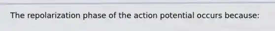 The repolarization phase of the action potential occurs because: