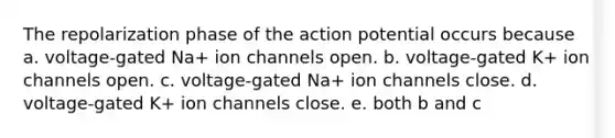The repolarization phase of the action potential occurs because a. voltage-gated Na+ ion channels open. b. voltage-gated K+ ion channels open. c. voltage-gated Na+ ion channels close. d. voltage-gated K+ ion channels close. e. both b and c