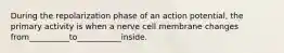 During the repolarization phase of an action potential, the primary activity is when a nerve cell membrane changes from__________to___________inside.