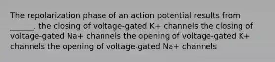 The repolarization phase of an action potential results from ______. the closing of voltage-gated K+ channels the closing of voltage-gated Na+ channels the opening of voltage-gated K+ channels the opening of voltage-gated Na+ channels