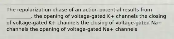 The repolarization phase of an action potential results from __________. the opening of voltage-gated K+ channels the closing of voltage-gated K+ channels the closing of voltage-gated Na+ channels the opening of voltage-gated Na+ channels