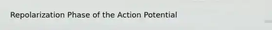 Repolarization Phase of the Action Potential