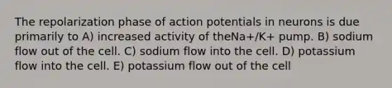 The repolarization phase of action potentials in neurons is due primarily to A) increased activity of theNa+/K+ pump. B) sodium flow out of the cell. C) sodium flow into the cell. D) potassium flow into the cell. E) potassium flow out of the cell