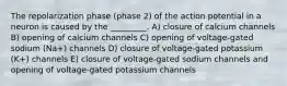 The repolarization phase (phase 2) of the action potential in a neuron is caused by the _________. A) closure of calcium channels B) opening of calcium channels C) opening of voltage-gated sodium (Na+) channels D) closure of voltage-gated potassium (K+) channels E) closure of voltage-gated sodium channels and opening of voltage-gated potassium channels