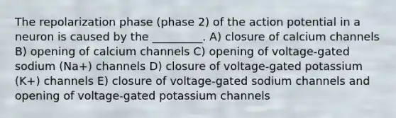 The repolarization phase (phase 2) of the action potential in a neuron is caused by the _________. A) closure of calcium channels B) opening of calcium channels C) opening of voltage-gated sodium (Na+) channels D) closure of voltage-gated potassium (K+) channels E) closure of voltage-gated sodium channels and opening of voltage-gated potassium channels