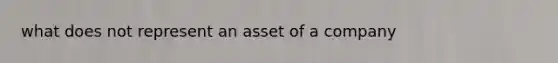 what does not represent an asset of a company