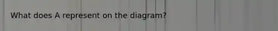 What does A represent on the diagram?