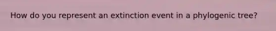 How do you represent an extinction event in a phylogenic tree?