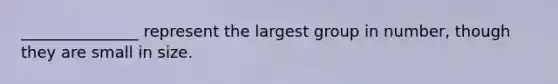 _______________ represent the largest group in number, though they are small in size.