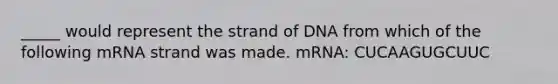 _____ would represent the strand of DNA from which of the following mRNA strand was made. mRNA: CUCAAGUGCUUC