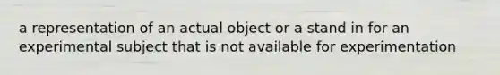 a representation of an actual object or a stand in for an experimental subject that is not available for experimentation