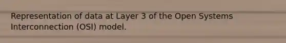Representation of data at Layer 3 of the Open Systems Interconnection (OSI) model.