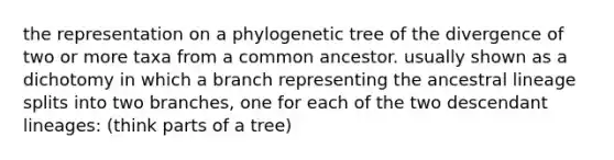 the representation on a phylogenetic tree of the divergence of two or more taxa from a common ancestor. usually shown as a dichotomy in which a branch representing the ancestral lineage splits into two branches, one for each of the two descendant lineages: (think parts of a tree)