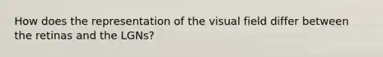 How does the representation of the visual field differ between the retinas and the LGNs?