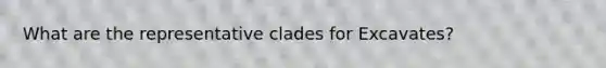 What are the representative clades for Excavates?