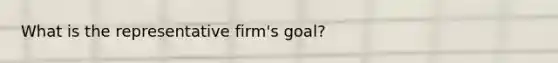 What is the representative firm's goal?