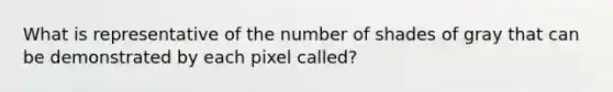 What is representative of the number of shades of gray that can be demonstrated by each pixel called?