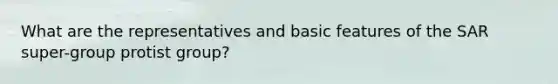 What are the representatives and basic features of the SAR super-group protist group?