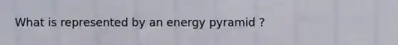 What is represented by an energy pyramid ?