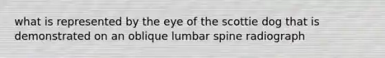 what is represented by the eye of the scottie dog that is demonstrated on an oblique lumbar spine radiograph