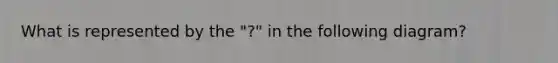 What is represented by the "?" in the following diagram?