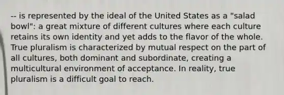 -- is represented by the ideal of the United States as a "salad bowl": a great mixture of different cultures where each culture retains its own identity and yet adds to the flavor of the whole. True pluralism is characterized by mutual respect on the part of all cultures, both dominant and subordinate, creating a multicultural environment of acceptance. In reality, true pluralism is a difficult goal to reach.