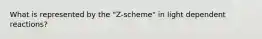 What is represented by the "Z-scheme" in light dependent reactions?