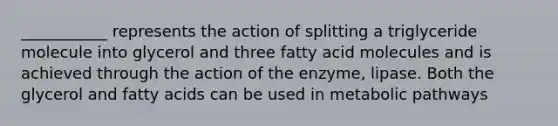 ___________ represents the action of splitting a triglyceride molecule into glycerol and three fatty acid molecules and is achieved through the action of the enzyme, lipase. Both the glycerol and fatty acids can be used in metabolic pathways