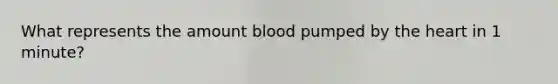 What represents the amount blood pumped by the heart in 1 minute?