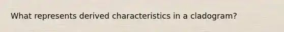 What represents derived characteristics in a cladogram?