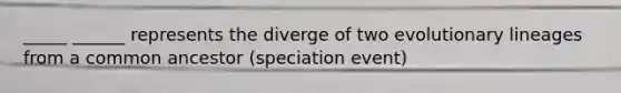 _____ ______ represents the diverge of two evolutionary lineages from a common ancestor (speciation event)