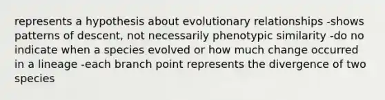 represents a hypothesis about evolutionary relationships -shows patterns of descent, not necessarily phenotypic similarity -do no indicate when a species evolved or how much change occurred in a lineage -each branch point represents the divergence of two species