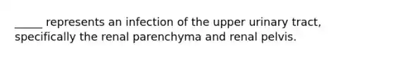 _____ represents an infection of the upper urinary tract, specifically the renal parenchyma and renal pelvis.