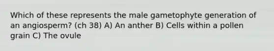 Which of these represents the male gametophyte generation of an angiosperm? (ch 38) A) An anther B) Cells within a pollen grain C) The ovule